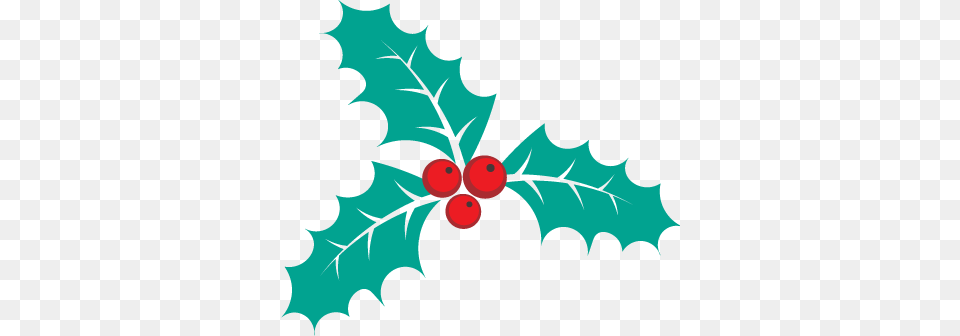 Holly Leaf, Plant, Person, Food, Fruit Free Png