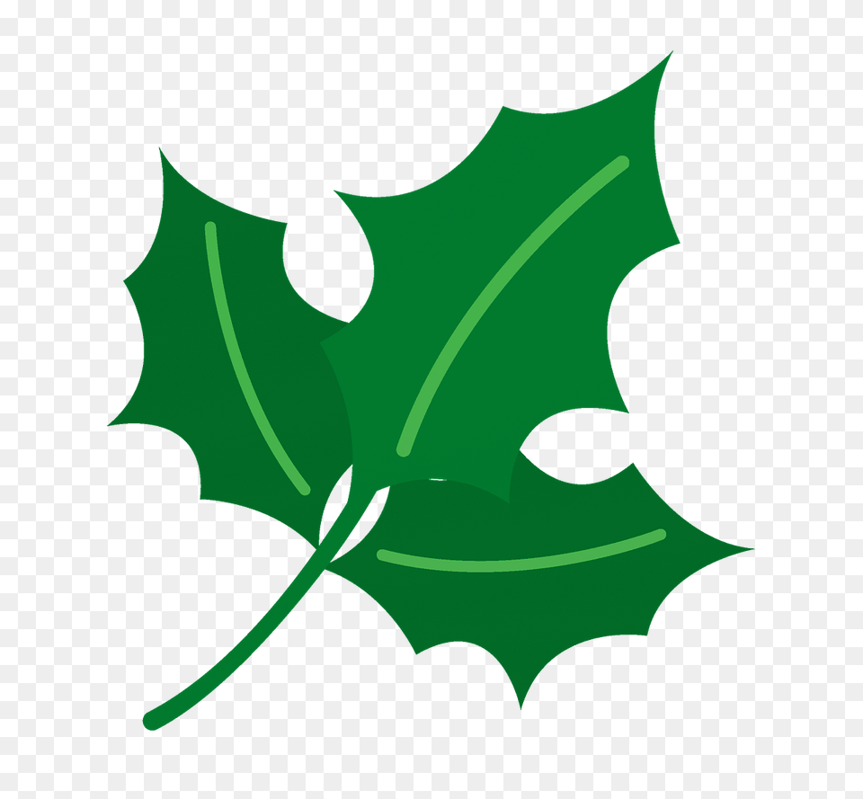 Holly Leaf Clipart, Plant, Maple Leaf, Tree, Animal Free Png Download