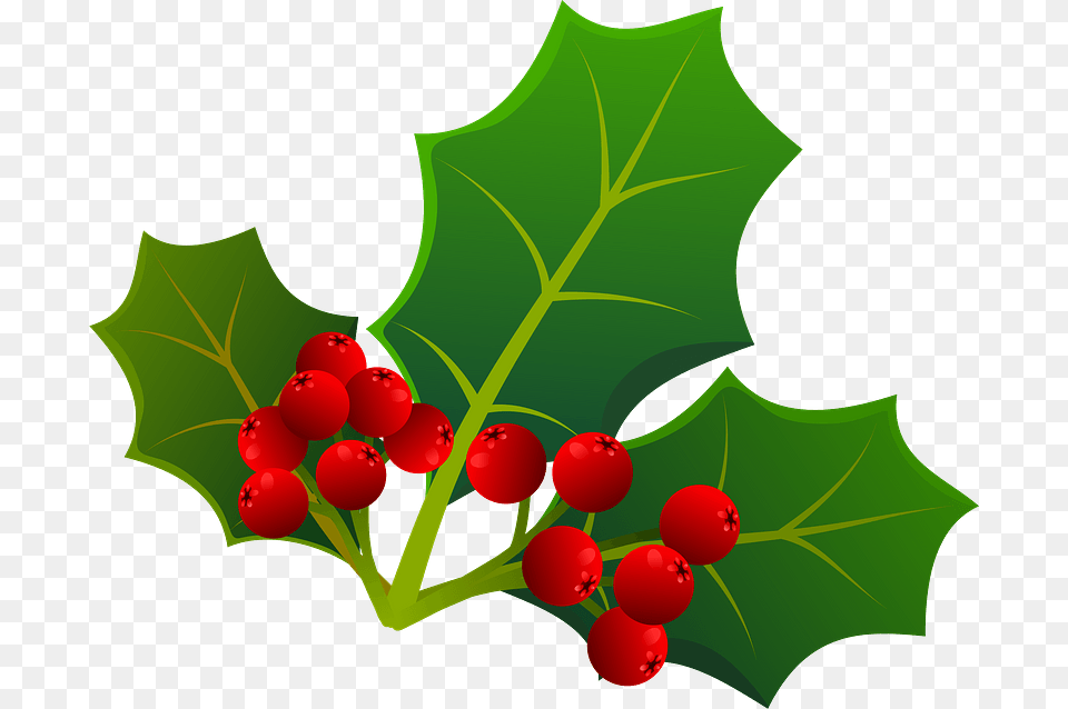 Holly Leaf Clipart American Holly, Food, Fruit, Plant, Produce Free Png