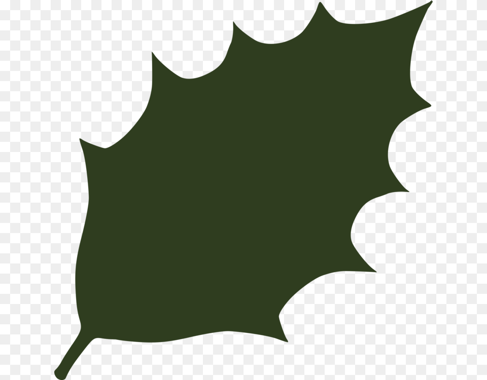 Holly Leaf Download Maple Computer Icons, Plant, Maple Leaf, Person Free Png