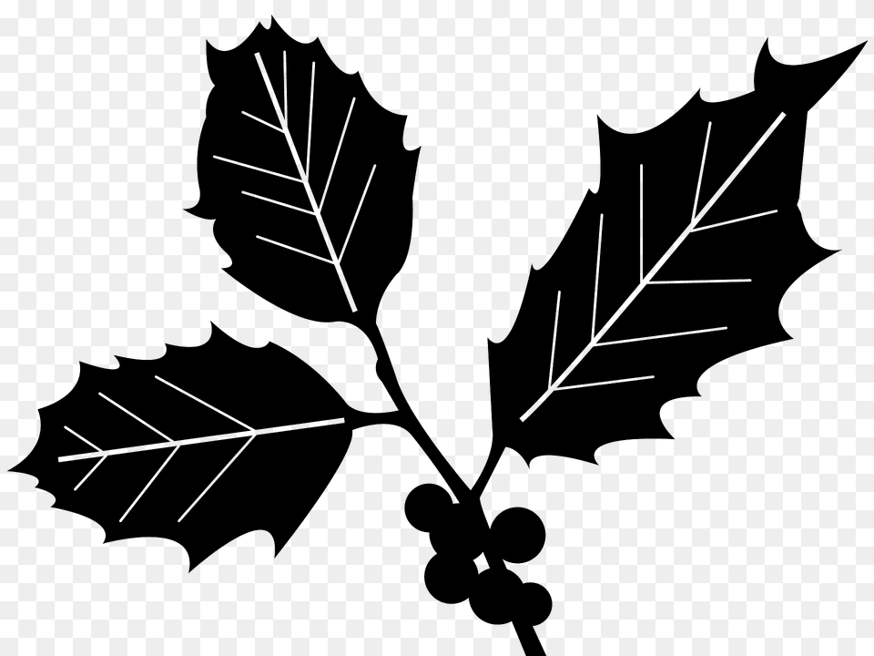 Holly Leaf Silhouette, Plant, Animal, Fish, Sea Life Png