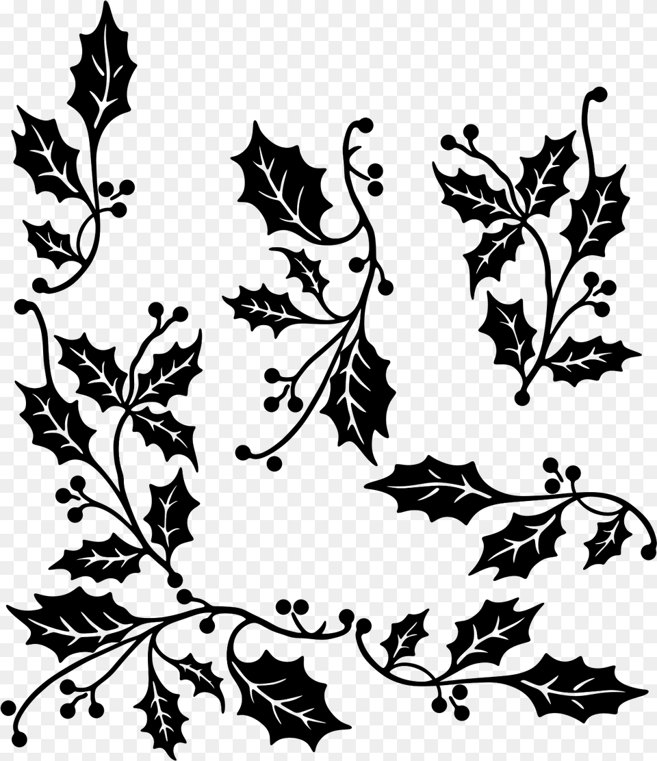 Holly Leaf Vector Holly Branches Vector, Gray Free Transparent Png