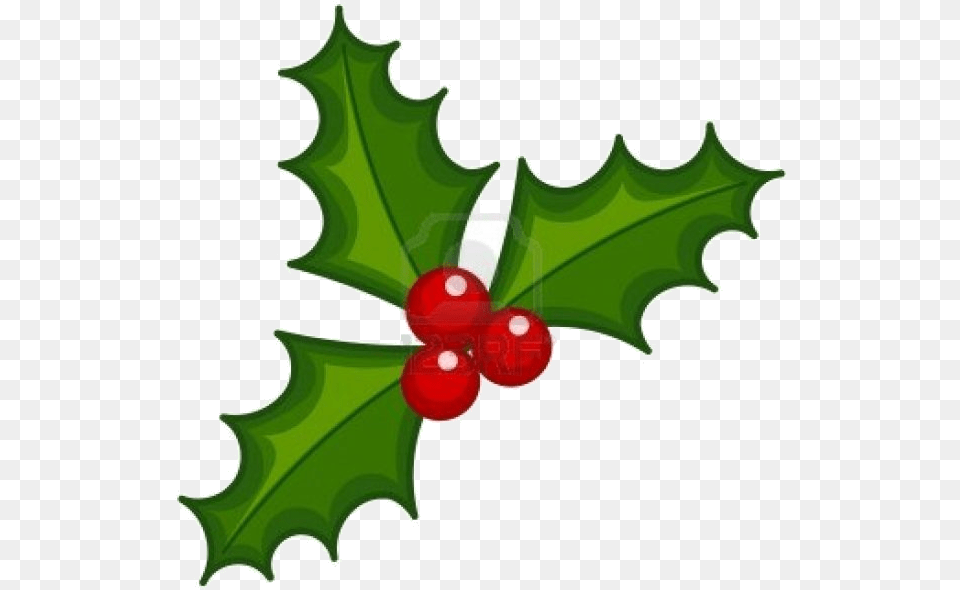 Holly Leaf X Christmas And Ivy Decorations Lights Card Clip Art Holly Berry, Plant, Produce, Food, Fruit Free Transparent Png