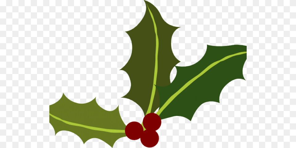 Holly Leaves, Leaf, Plant, Produce, Food Free Png