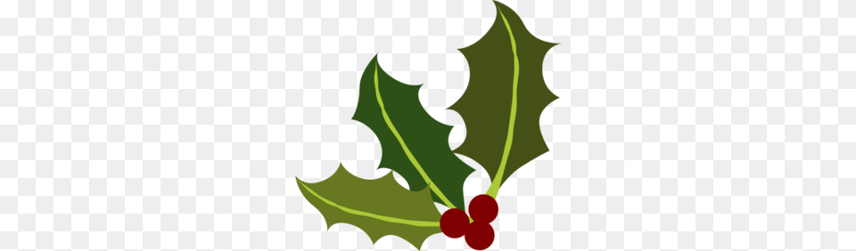 Holly Leaves Clipart, Leaf, Plant, Person, Flower Free Transparent Png