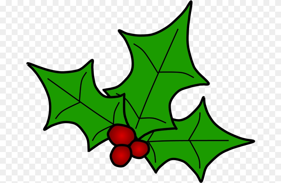 Holly Leaves Holly Clipart, Leaf, Plant, Food, Fruit Png Image