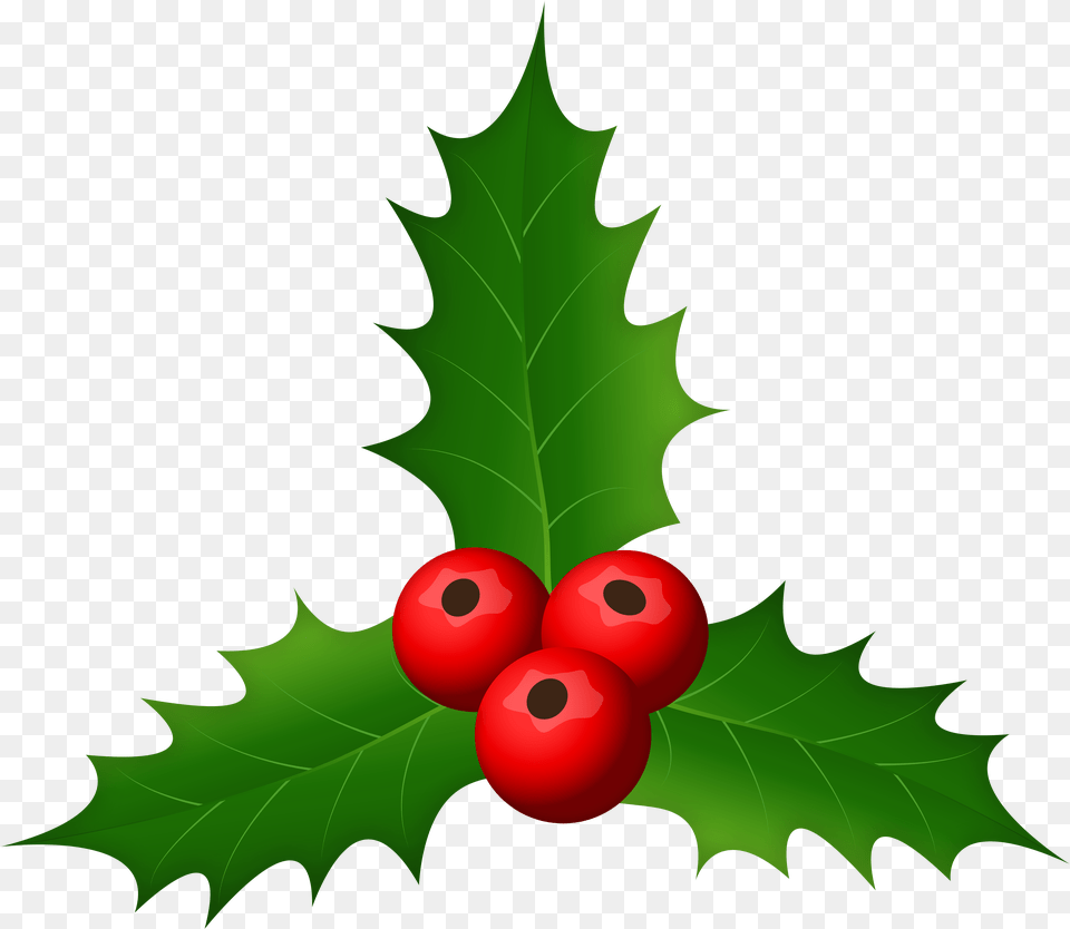 Holly Mistletoe Christmas Clipart, Leaf, Plant, Food, Fruit Png Image