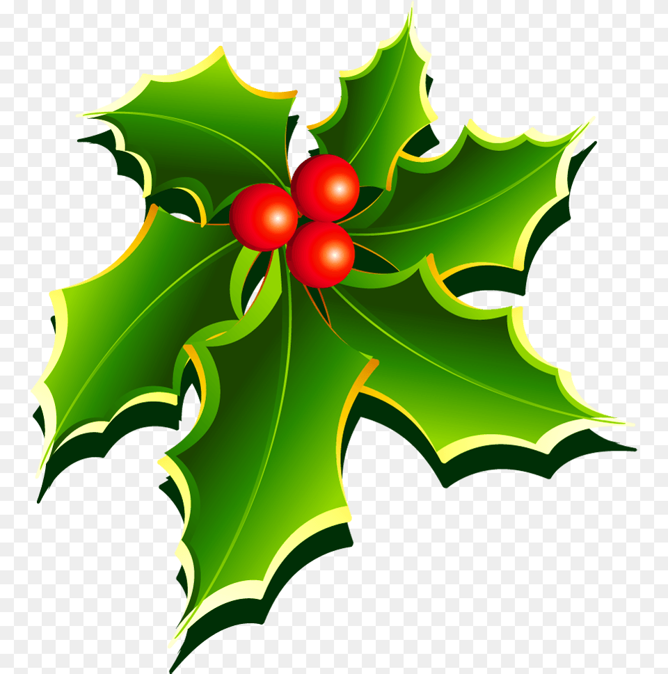 Holly Mistletoe Leaf, Plant, Food, Fruit Free Transparent Png