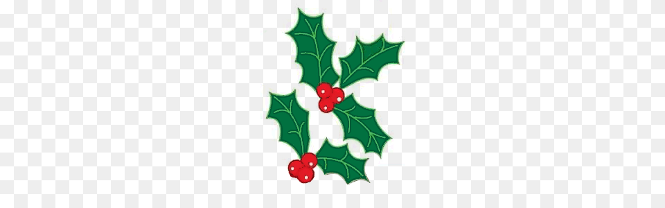Holly Sprigs Holidaychristmashollyholly Clipart, Leaf, Plant, Flower Png Image