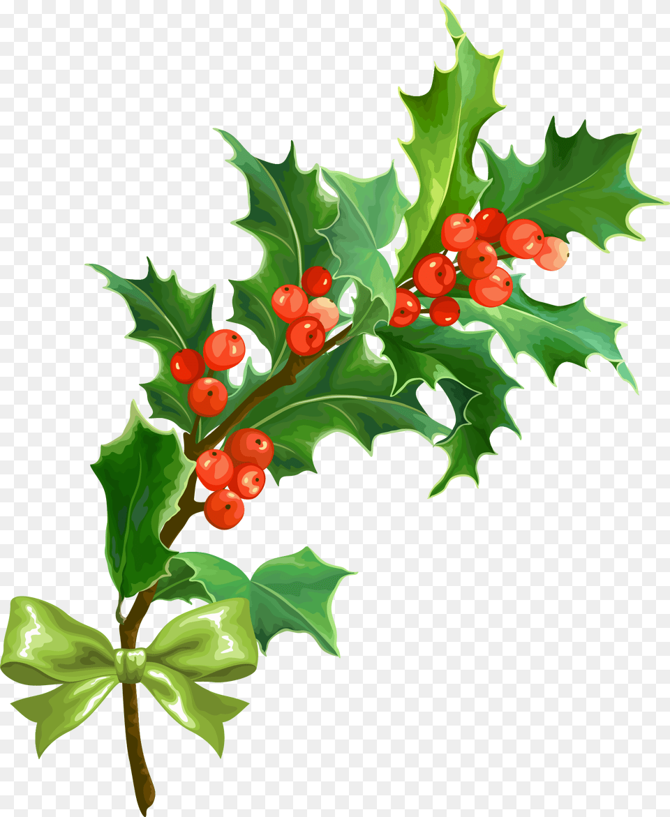 Holly Transparent Christmas Holly Leaf, Plant, Tree, Flower, Food Free Png Download