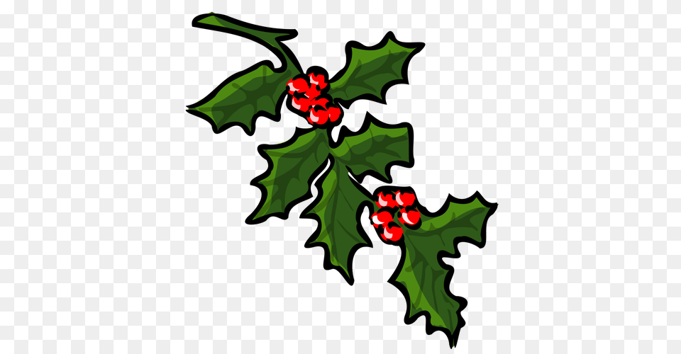 Holly Tree For Xmas Vector, Leaf, Plant, Flower, Food Png Image