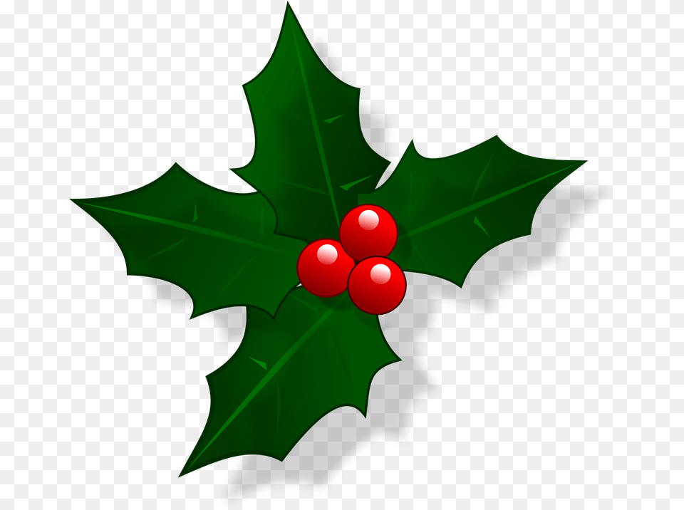 Holly Vector Illustration Holly Christmas, Leaf, Plant, Food, Fruit Free Png