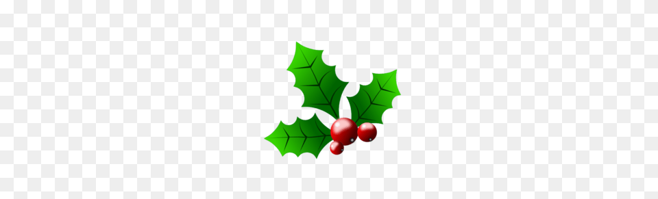 Holly With Berries Clip Art, Food, Fruit, Leaf, Plant Png