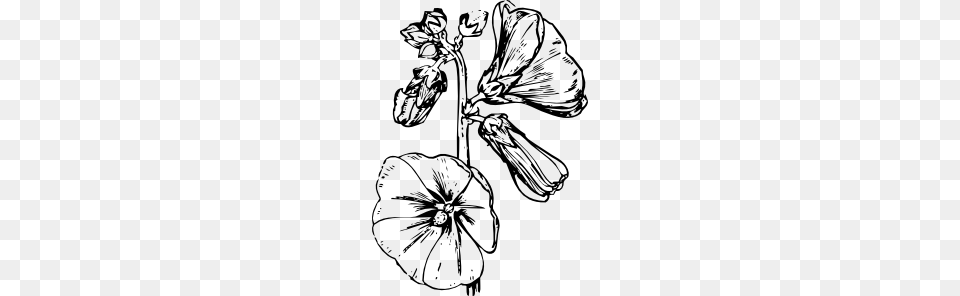 Hollyhock Clip Art, Flower, Plant, Drawing, Ammunition Free Png Download