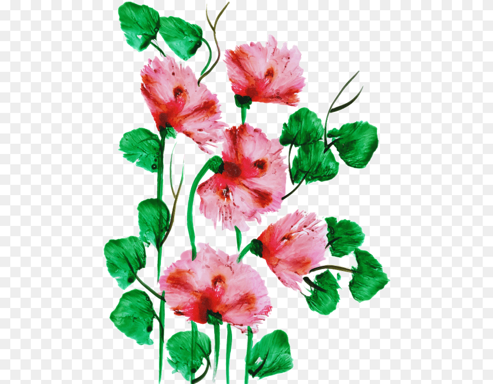 Hollyhocks, Flower, Plant, Hibiscus, Rose Free Png