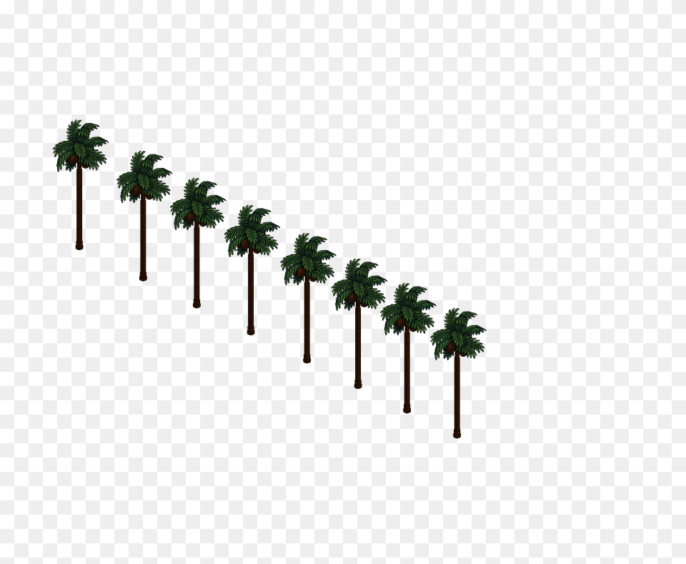 Hollywood, Plant, Neighborhood, City, Tree Free Transparent Png