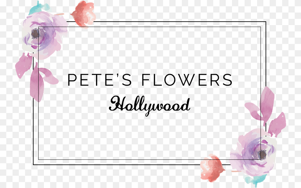 Hollywood Ca Florist Pete39s Flowers, Flower, Petal, Plant, Rose Free Png Download