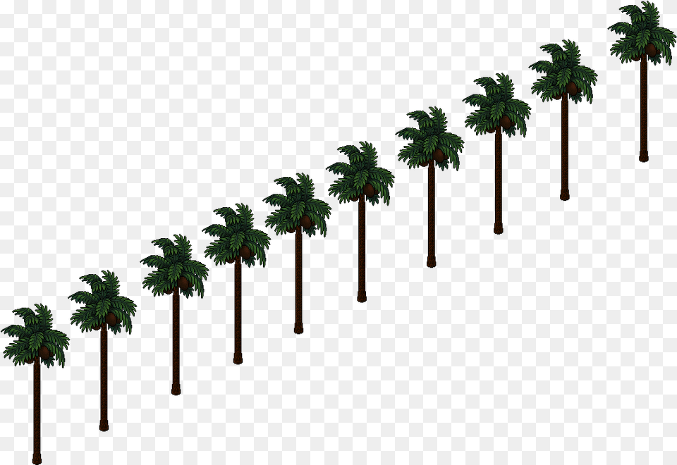 Hollywood Palm Tree, Grove, Land, Nature, Outdoors Free Png