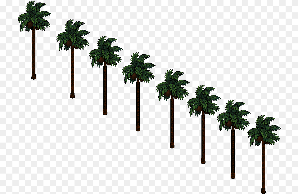 Hollywood Portable Network Graphics, Palm Tree, Plant, Tree, Vegetation Free Transparent Png