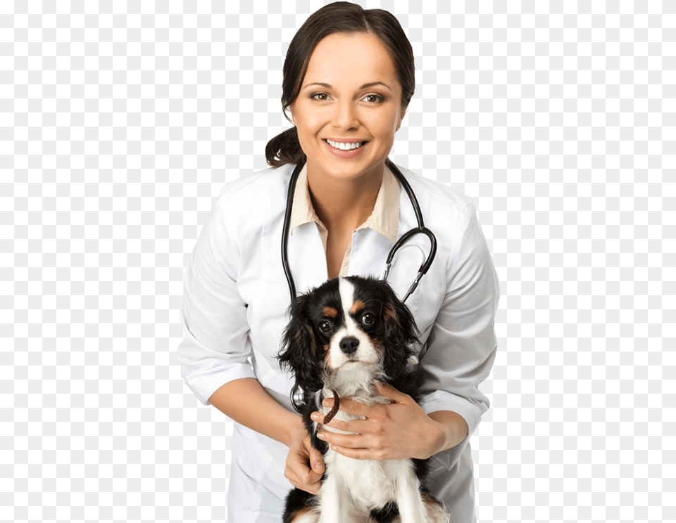Hollywood Veterinarian Affordable Animal Hospital Vet In Health, Doctor, Person, Adult, Female Png Image