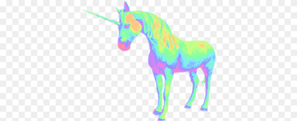 Holografic Unicorn Unicornio Psicodelic Tumblr Hologrf Unicorn, Animal, Mammal, Horse, Colt Horse Free Png