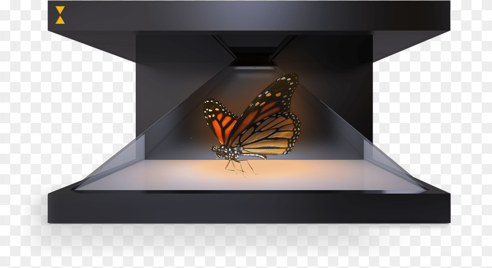Holographic, Animal, Butterfly, Insect, Invertebrate Png