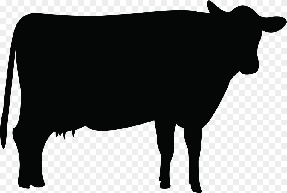 Holstein Friesian Cattle Livestock Clip Art, Animal, Bull, Mammal, Cow Free Png Download