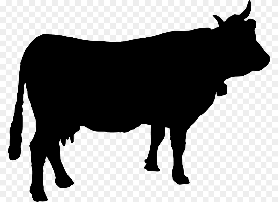 Holstein Friesian Cattle Silhouette, Gray Free Transparent Png