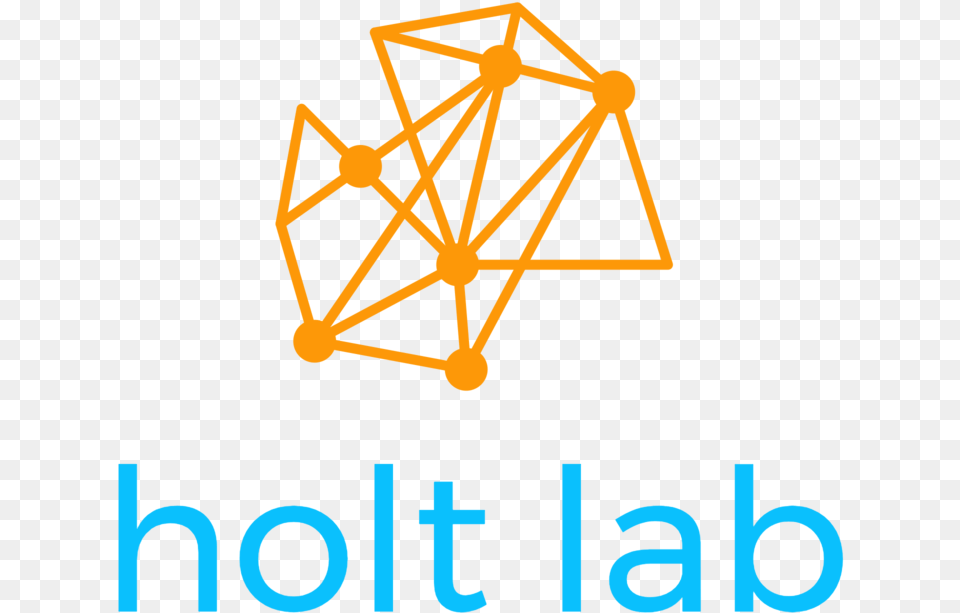 Holt Lab Nyu Logo, Network, Accessories, Diamond, Gemstone Free Transparent Png