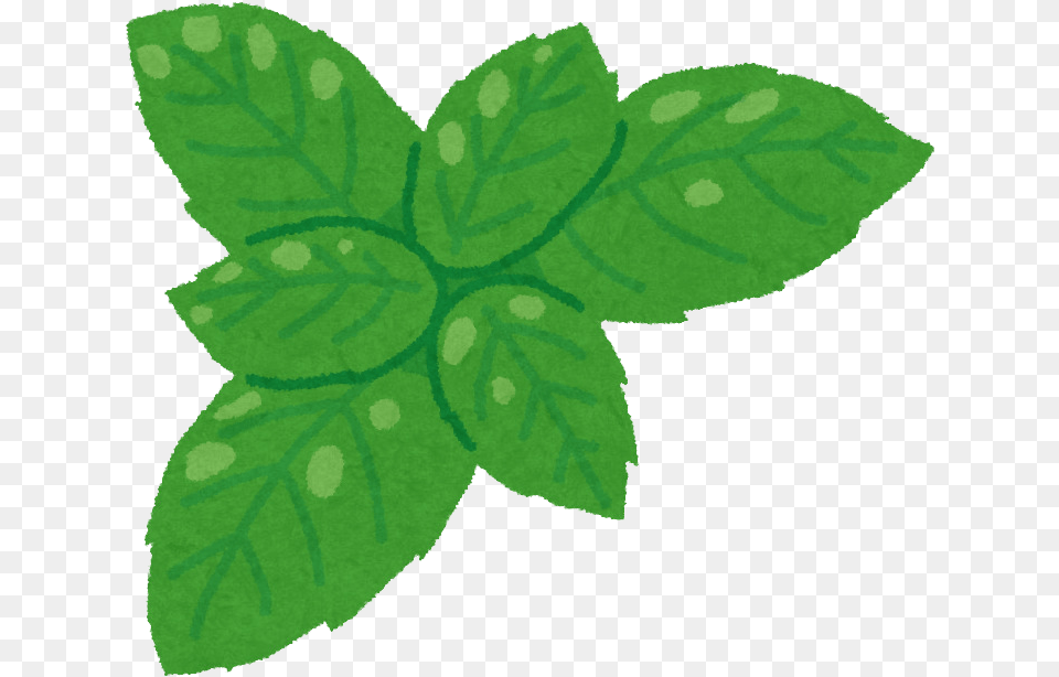 Holy Basil Free Desktop Background Holy Basil Cartoon, Herbs, Leaf, Mint, Plant Png