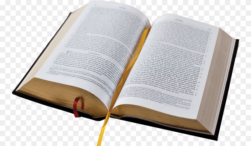 Holy Bible Background Image Books And Literature Holy Bible No Background, Book, Page, Person, Publication Png