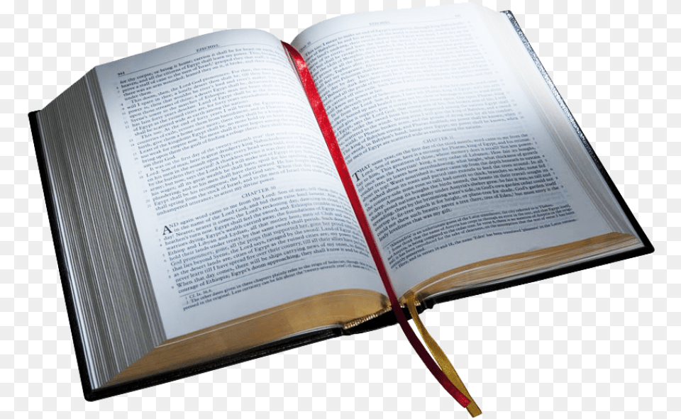 Holy Bible Bible With No Background, Book, Page, Publication, Text Free Png Download
