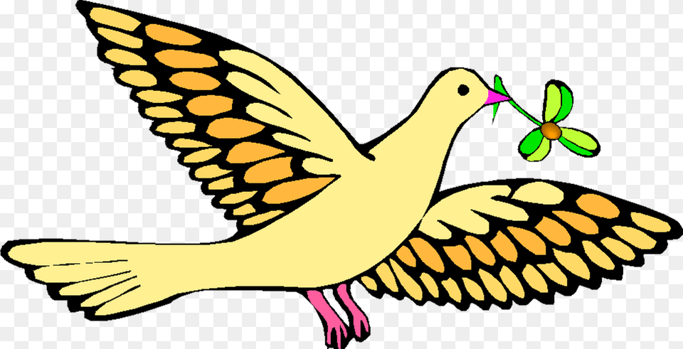 Holy Dove Clipart, Animal, Bird, Pigeon Png