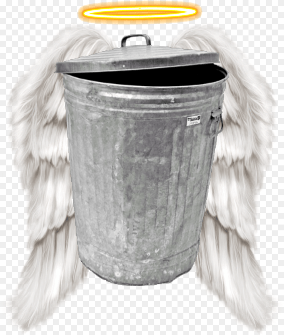 Holy Garbage Angel Wings Sims Free Transparent Png