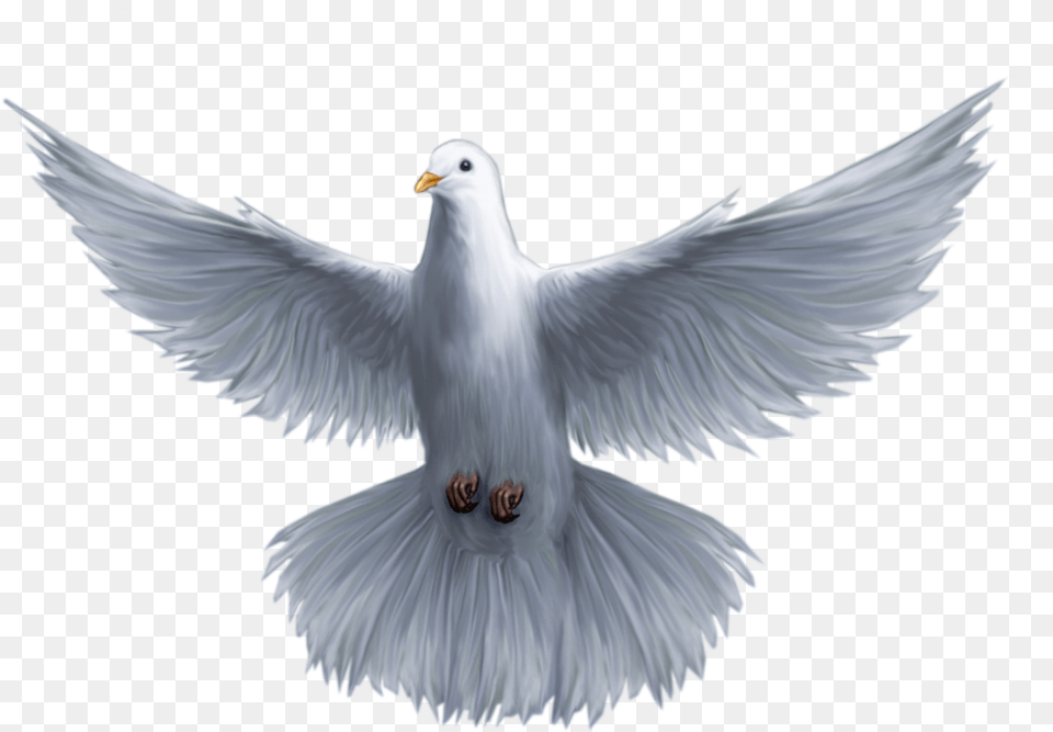Holy God Pomba Saint Spirit Trinity Clipart Holy Spirit Dove, Animal, Bird, Pigeon Free Png Download