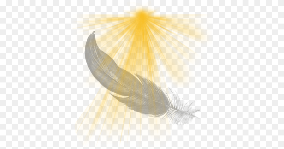 Holy Light Illustration, Art, Person, Animal, Bird Png