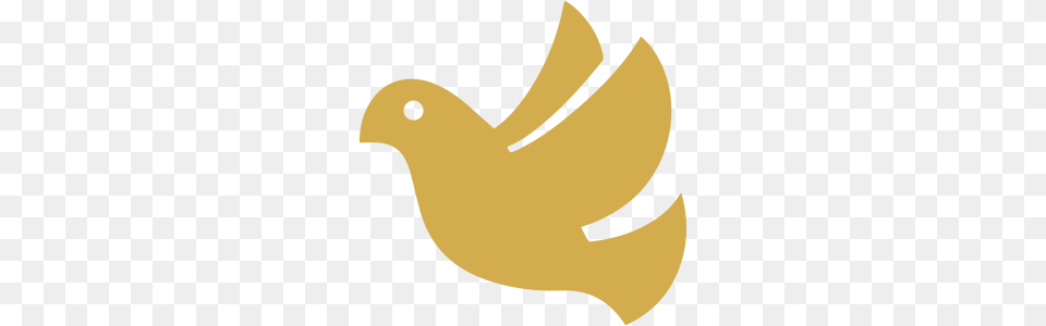 Holy Spirit Adg Icons, Animal, Bird Free Transparent Png