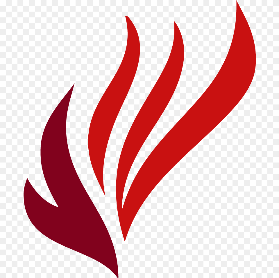 Holy Spirit Bible Logo Fire Fire Symbol Of Holy Spirit, Art, Graphics, Floral Design, Pattern Png