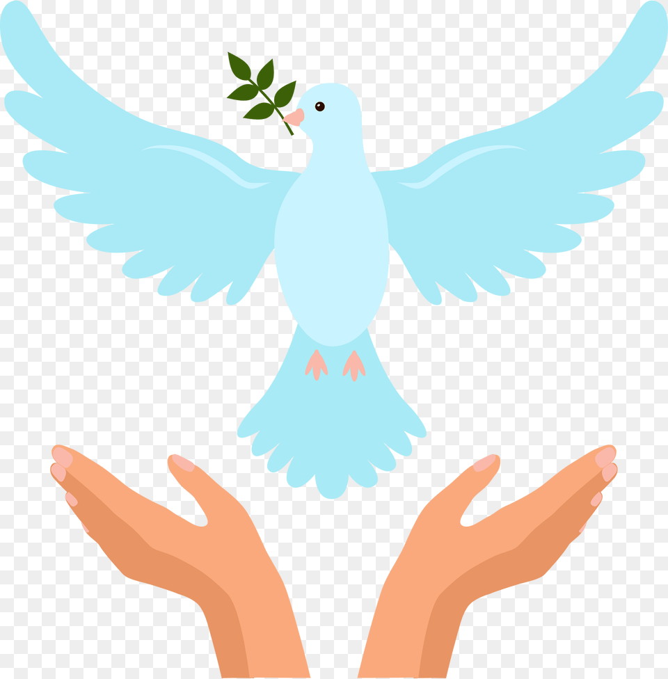 Holy Spirit Clipart, Animal, Bird, Dove, Pigeon Png