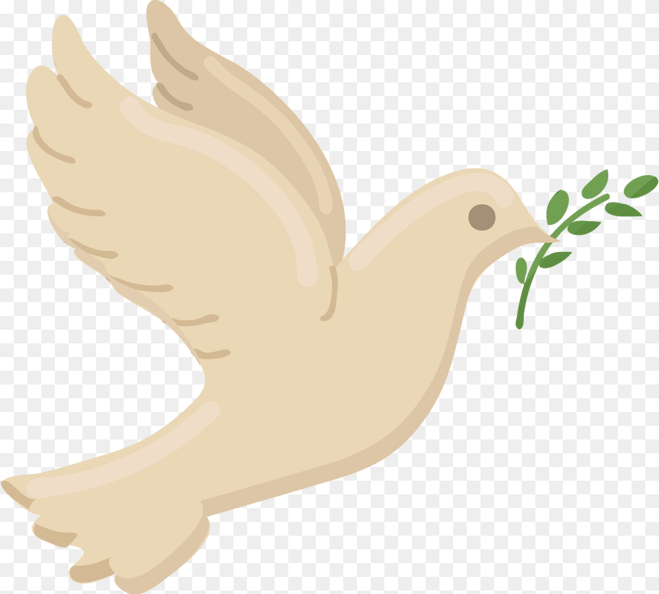 Holy Spirit Clipart, Animal, Bird, Pigeon, Dove Png Image