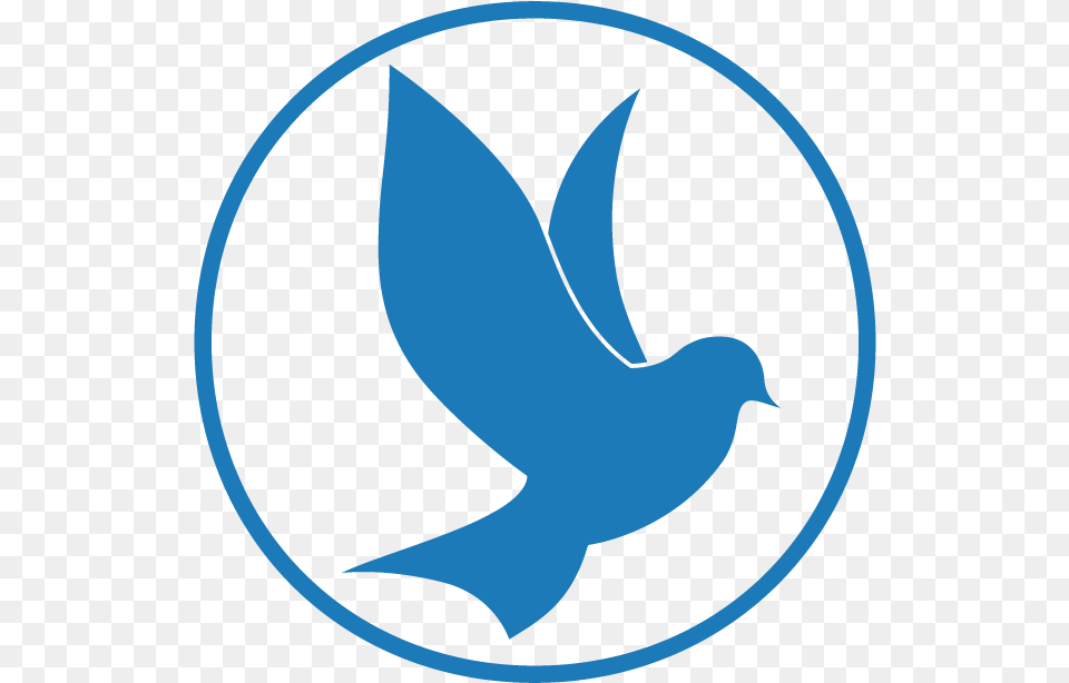 Holy Spirit Dove, Animal Free Transparent Png