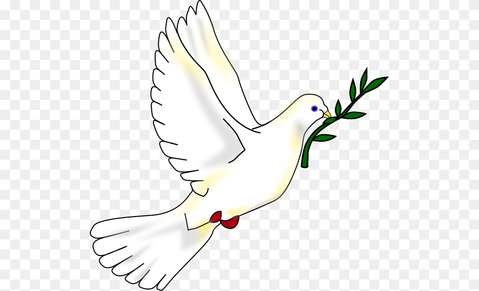 Holy Spirit Dove Clip Freeuse Library Simbol Mira, Animal, Bird, Pigeon Png