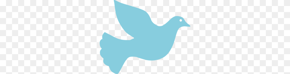 Holy Spirit Dove Clipart, Animal, Bird, Pigeon, Fish Free Png Download