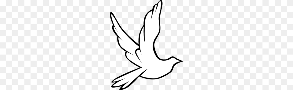 Holy Spirit Dove Clipart, Stencil, Animal, Bird, Flying Free Png Download