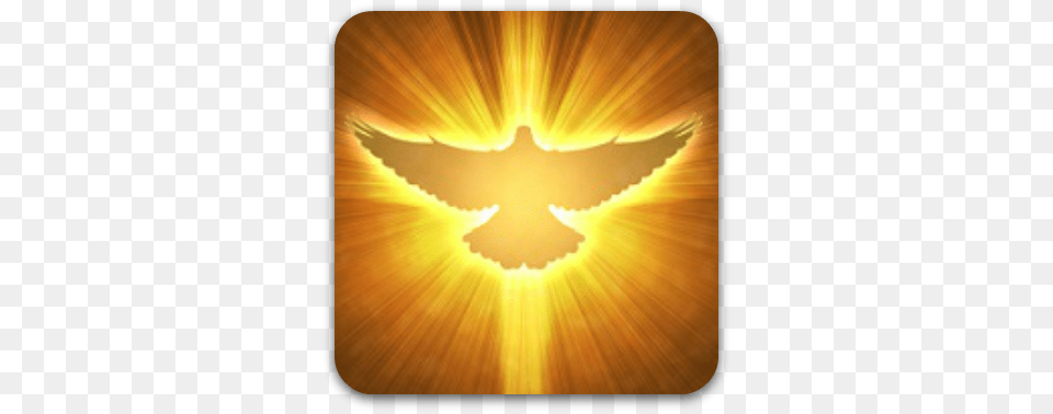 Holy Spirit Dove Sma Changing Your Paradigm To The Christ Mind Book, Sunlight Png