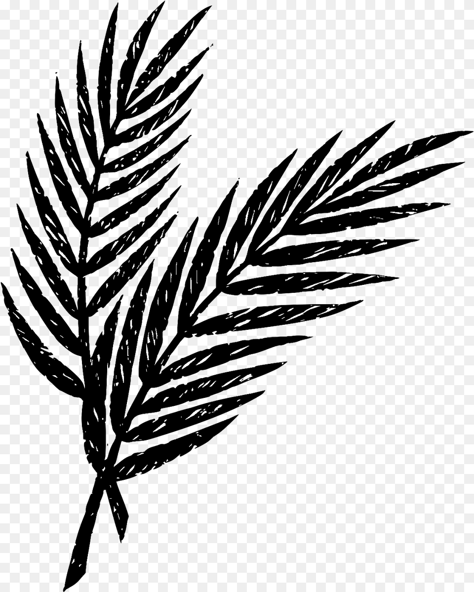 Holy Week Palm Leaves, Plant, Silhouette, Art, Drawing Png