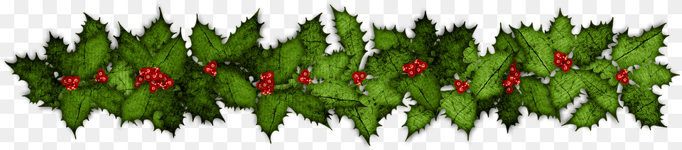 Holy Wreth Holly Gzrland, Conifer, Plant, Tree Png