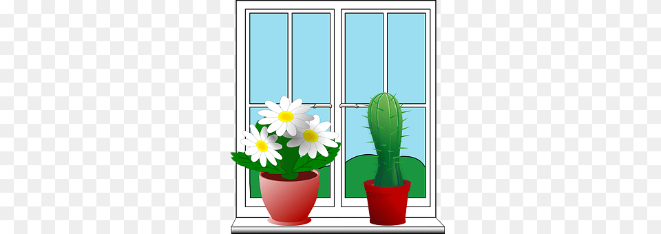 Home Daisy, Flower, Plant, Window Free Png Download