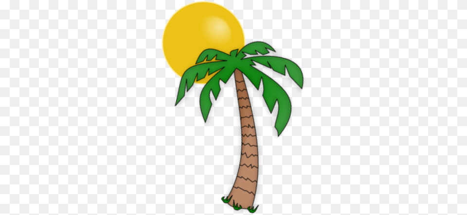 Home, Palm Tree, Plant, Tree, Food Free Transparent Png
