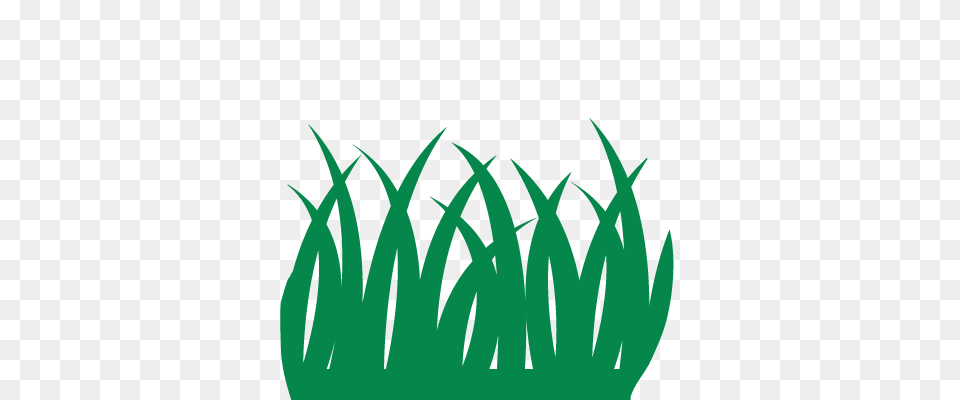 Home, Plant, Grass, Green, Leaf Free Transparent Png